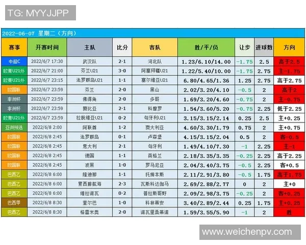 杭州篮球队意识表现的数据分析与战术优化研究